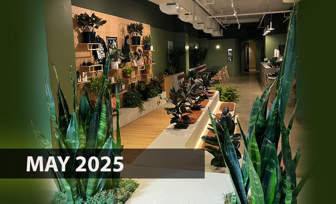 May 2025